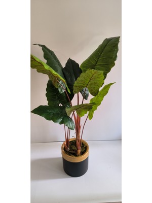 Rüzgar Yapay Çiçekçilik 160 cm Fil Kulağı Ağacı