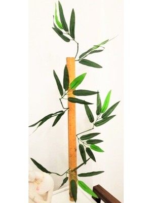 Rüzgar Çiçekcilik 50 cm 25 Adet Bambu