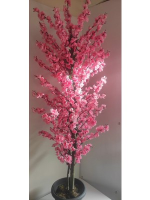 Rüzgar Çiçekcilik 180 cm Pembe Bahardali