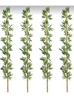 Rüzgar Yapay Çiçekçilik 190 cm 4 Adet Bambu