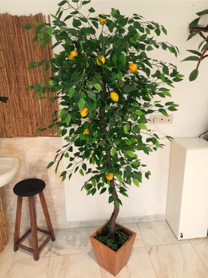 Yapay Sarı Limon Ağacı 1.80 mt Boy Büyük Meyveli Gerçek Görünümlü Limon Ağacı Ahşap Saksıda