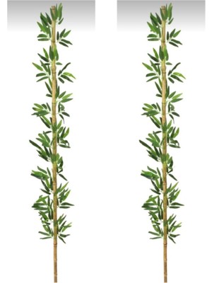Rüzgar Yapay Çiçekçilik 190 cm 2 Adet Bambu