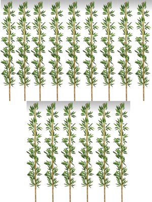 Rüzgar Yapay Çiçekçilik 2 Metre 15 Adet Bambu