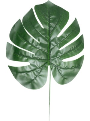 Rüzgar Çiçekcilik Tek Dal Devetabani Yaprağı