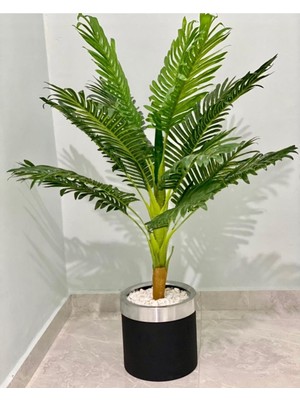 Rüzgar Yapay Çiçekçilik 25X25 Saksıda Areka Ağacı