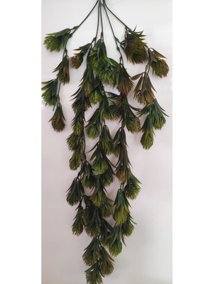 Rüzgar Çiçekcilik Sarmaşık 65 cm