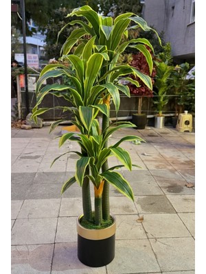 Rüzgar Yapay Çiçekçilik  Massengena 180 cm 66 Yaprak