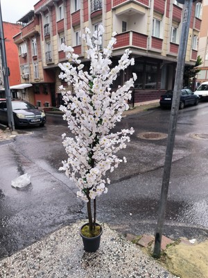Rüzgar Yapay Çiçekçilik 180 Santim Beyaz Bahardalı Ağacı