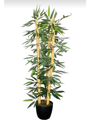 Rüzgar Yapay Çiçekçilik 90 cm Plastik Saksıda 3 Lü Bambu