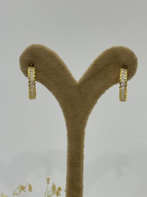 Duran Takı Zirkon Taşlı Gümüş Küpe