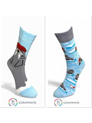 Çorapmatik Sağlı Sollu Fok Balığı Desenli Renkli Çorap