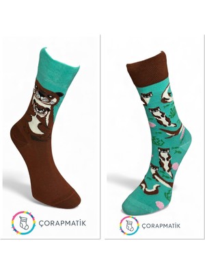 Çorapmatik Sağlı Sollu Su Samuru Desenli Renkli Çorap