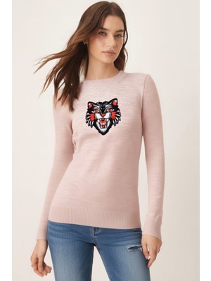 Armonika Kadın Taş Bisiklet Yaka Aplikeli Kazak ARM-26K136002