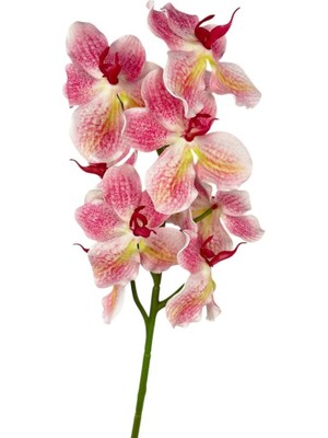 Nettenevime Yapay Çiçek Pembe Eva Orkide Büyük Boy Gerçeksi Doku Uzun Dal 68CM