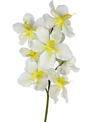Nettenevime Yapay Çiçek Beyaz Eva Orkide Büyük Boy Gerçeksi Doku Uzun Dal 68CM
