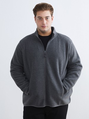 Lc Waikiki Yeni Sezon Standart Kalıp Dik Yaka Polar Erkek Fermuarlı Sweatshirt