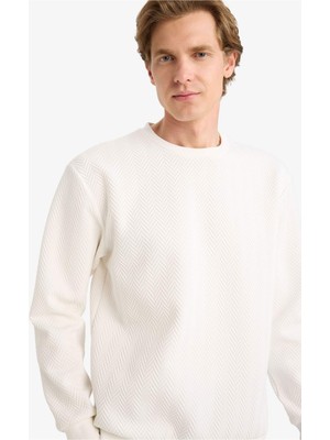 DeFacto Regular Fit Sweatshirt F9854AX26SP