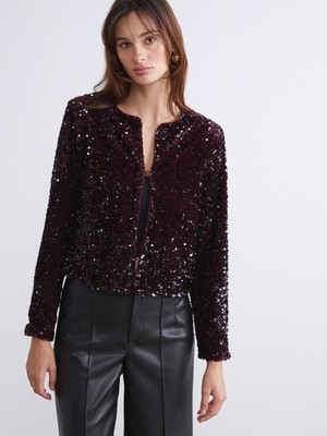 Lc Waikiki Yeni Sezon Bisiklet Yaka Pul Payetli Kadın Ceket