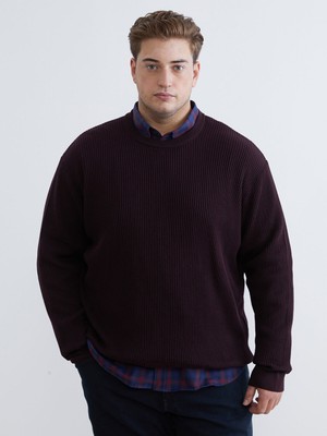 Lc Waikiki Yeni Sezon Bisiklet Yaka Erkek Triko Kazak