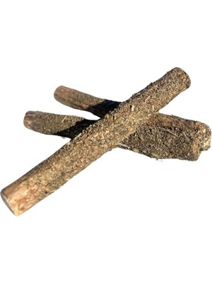 Braventa Collection Pawdaz Catnipli Matatabi Stick - Diş Temizlemeye ve Stres Gidermeye Yardımcı Doğal Oyuncak (3 Adet)