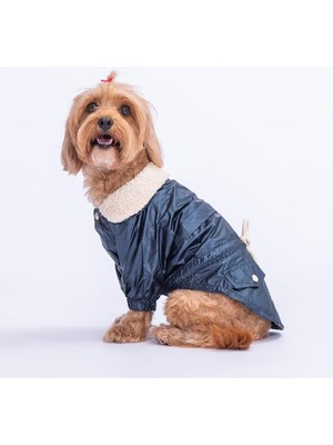 Braventa Collection Pawstar Blue Brillante Su Itici Küçük Irk Köpek Yağmurluğu (Xl)