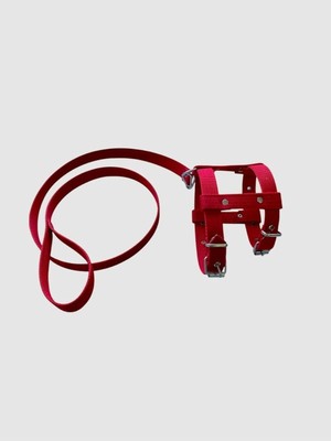 Braventa Collection Küçük Boy Yavru Köpekler Için Gezdirmeli Göğüs Tasması Kırmızı S