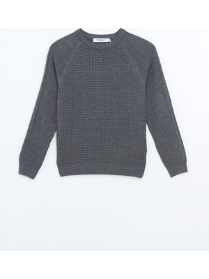 Lc Waikiki Yeni Sezon Bisiklet Yaka Uzun Kollu Erkek Çocuk Kazak