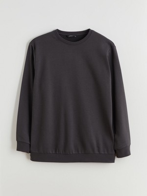 Lc Waikiki Yeni Sezon Bisiklet Yaka Erkek Sweatshirt