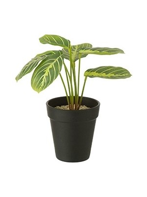 Laromita Decoration Meranto Yapay Bitki / 23 cm