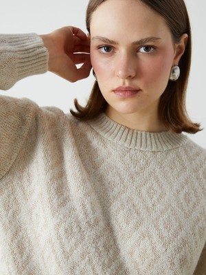 Lc Waikiki Yeni Sezon Bisiklet Yaka Baklava Desenli Kadın Triko Kazak