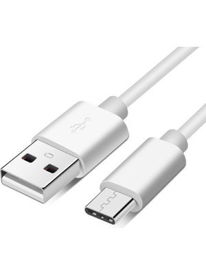 Sge Teknoloji 20 cm Type-C USB - USB Kısa Şarj Kablosu LED Işık Şarj Kablosu Powerbank Uyumlu