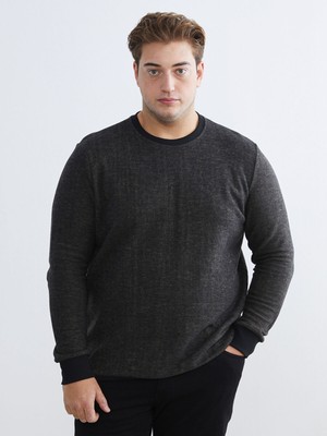 Lc Waikiki Yeni Sezon Bisiklet Yaka Erkek Sweatshirt
