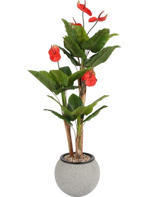 Yapay Çiçek Sitesi Gri Fiber Saksıda Yapay Antoryum Ağacı 170 cm (Anthurium)