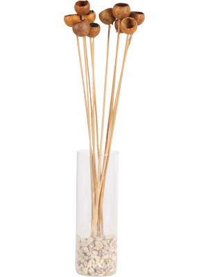 Yapay Çiçek Sitesi 10LU Dekoratif Doğal Kabak Kuru Çiçek