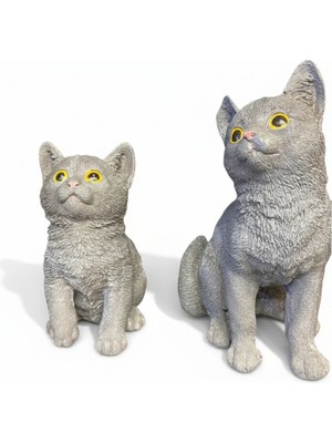 Gitti Gitti Dekoratif Scottish Kedi Biblo Ikili Set