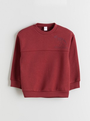Lc Waikiki Yeni Sezon Bisiklet Yaka Baskılı Erkek Çocuk Kalın Sweatshirt