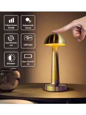 Marco Silver Kasamantar Masa Lambası Dimli 3 Renk