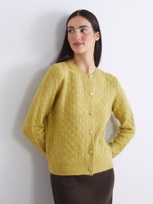 Lc Waikiki Yeni Sezon Bisiklet Yaka Kendinden Desenli Kadın Triko Hırka