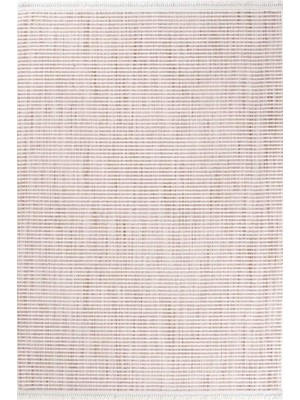 Hoom Rugs Piana 1103 Taba Iskandinav Halı