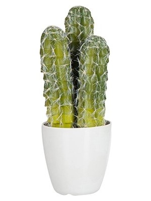 Laromita Decoration Saksılı Üç Dal Kaktüs / Dikensiz