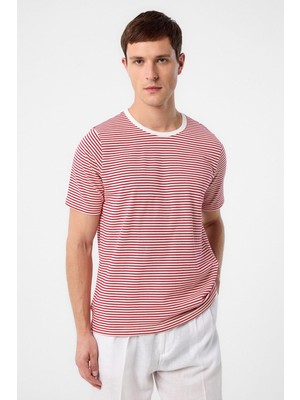 Antioch Kırmızı Regular Fit Çizgili Erkek T-Shirt