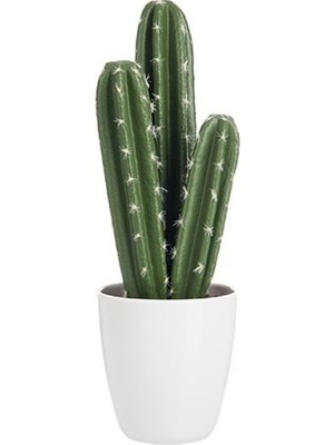 Laromita Decoration Saksılı Üç Dal Kaktüs / Dikenli