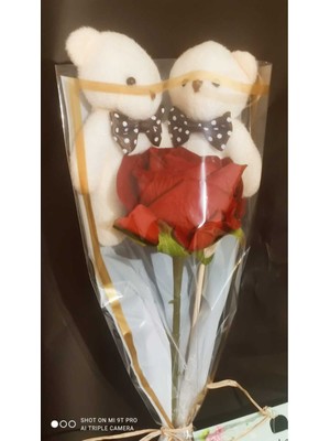 Mynil Marteniçkalı Arkadaş Dilek Buketi Ayıcıklı ve Güllü