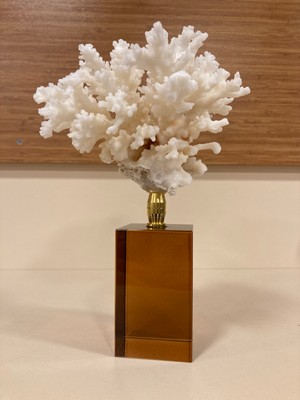 Plus Home Dekoratif Kristal ve Pirinç Altın Makaralı Bal Rengi Doğal Mercan Yükseklik 18 cm