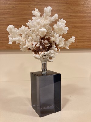 Plus Home Dekoratif Füme Kristal ve Pirinç Gümüş Makaralı Doğal Mercan Yükseklik 18 cm