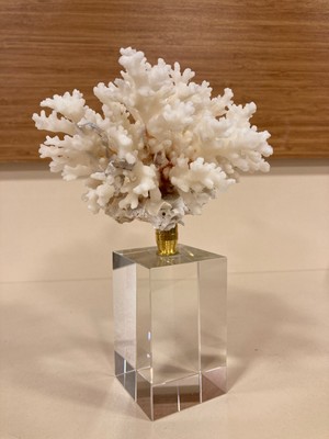 Dekoratif Şeffaf Kristal Altın Makaralı Doğal Mercan Yükseklik 18 cm