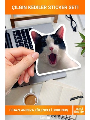 Letsii Çılgın Kediler Temalı Yerli Üretim Macbook Notebook Tablet Telefon Sticker Seti