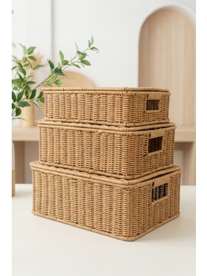 Digithome 3'lü Kapaklı Hasır Rattan Organizer Sepet - BB6065