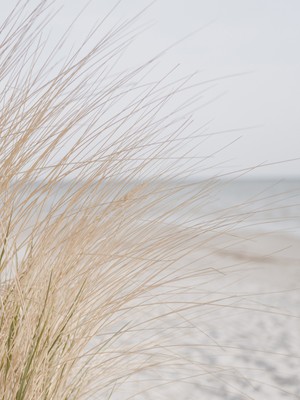 Fuart.Co Ada Rüyası Kumsal Temalı Dijital Baskı Poster (Çerçevesiz) Kufu