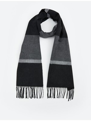 Lc Waikiki Yeni Sezon Renk Bloklu Erkek Atkı